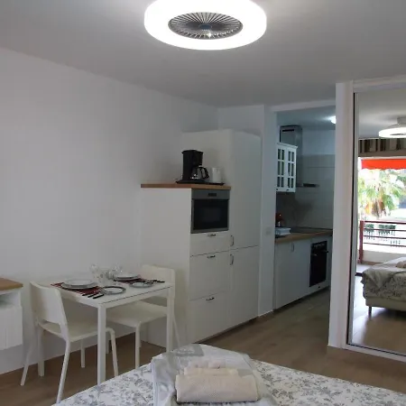 Apartment In Olympia Playa de las Americas (Tenerife)