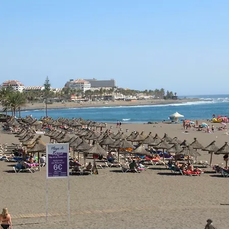 Lejlighed In Olympia *