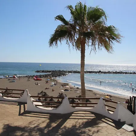Apartment In Olympia Playa de las Americas (Tenerife)